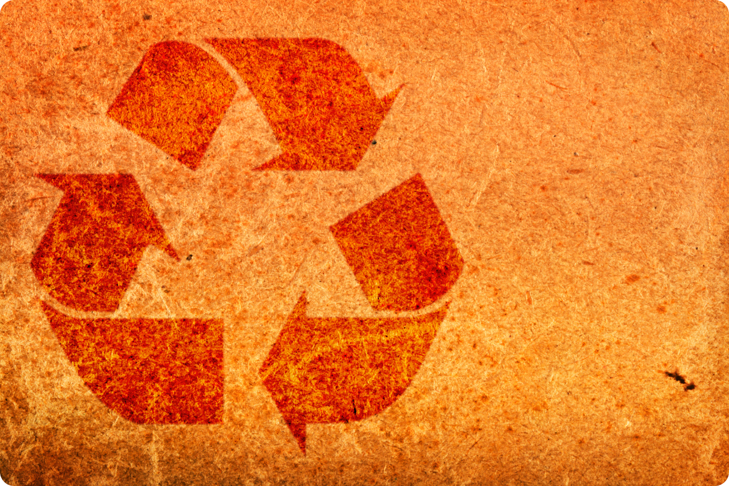 გარემოს დაცვა და ნარჩენების მართვა